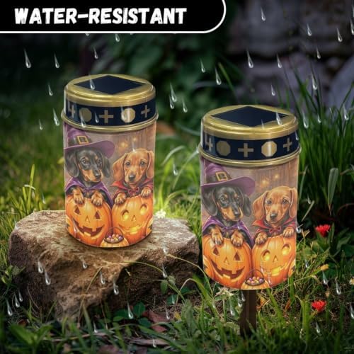 Poceacles Halloween Decor Solar Lights Outdoor Solar Powered Cemetery Stake Lights Grave Lamp Landscape Lighting Waterproof Grave Flameless Candles, Dachshund Dog Pumpkin, Pack of 2 - Image 6