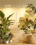 Bamworld Grow Lights for Indoor Plants, 2 Head Full Spectrum Plant Lights by Bamworld