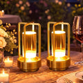 Riakrum 2 Pack Cordless Table Lamp Rechargeable LED Light, Lantern by Riakrum