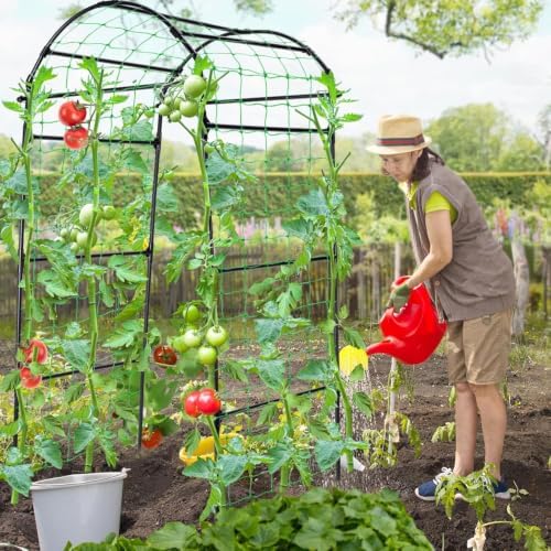 Garden Arch Cucumber Trellis for Climbing Plants 6.7ft Black - Image 2