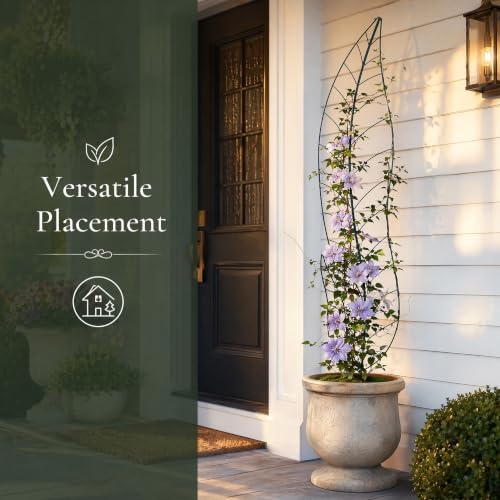 Oversize Leaf Metal Trellis, Tall Robust Plant Support Structure - Image 6