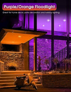 Fulighture Orange and Purple Flood Light Bulbs Outdoor 4 Pack,PAR38 Bulbs - Image 3