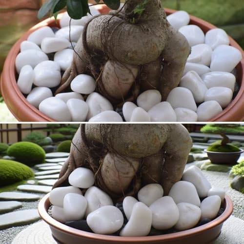 20lbs White Rocks for Landscaping,2-3 Inch Decorative Pebbles for Plants,River Rocks for Backyard,Flower Beds, Indoor Fountains, Paths, Aquarium Vase,Outdoor Garden - Image 5