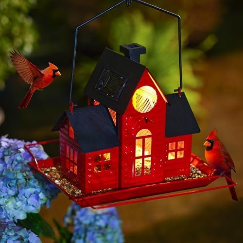 Solar Bird Feeders for Outdoors Hanging,Metal Cardinal Bird House Feeder with Solar Powered Lantern Light,Wild Cardinal Birdfeeder Waterproof Decor for Garden Yard Outside,Gift for Grandma Mom by Unknown