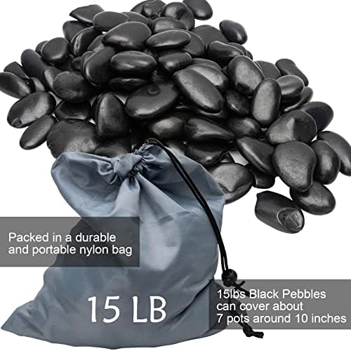 Black River Rocks - Large Polished Black Pebbles for Plants & Garden Decorative Stones, 1-2 Inch, 15 Pound - Image 2