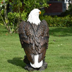 24.4" Tall Large Standing Bald Eagle Garden Statue Sculpture American Eagle - Image 5