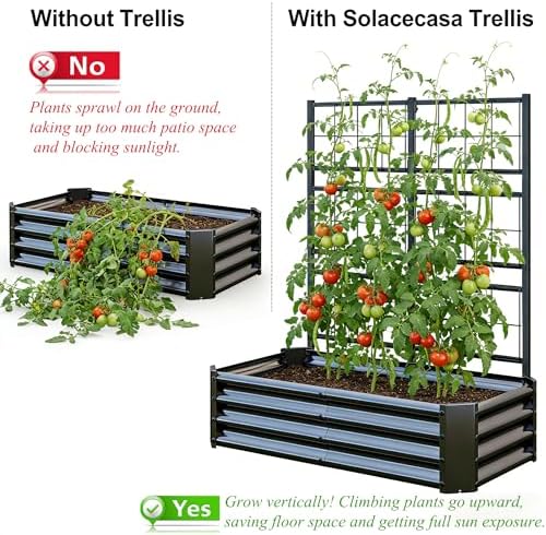 Galvanized Raised Garden Bed with Trellis for Climbing Plants Outdoor,Black - Image 5