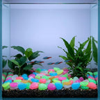 500pcs Glow in Dark Resin Pebbles for Garden Decorative Use - Image 5
