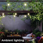 Enbrighten Globe Outdoor String Lights, 44ft, 12 Lights, White Light Only - Image 5