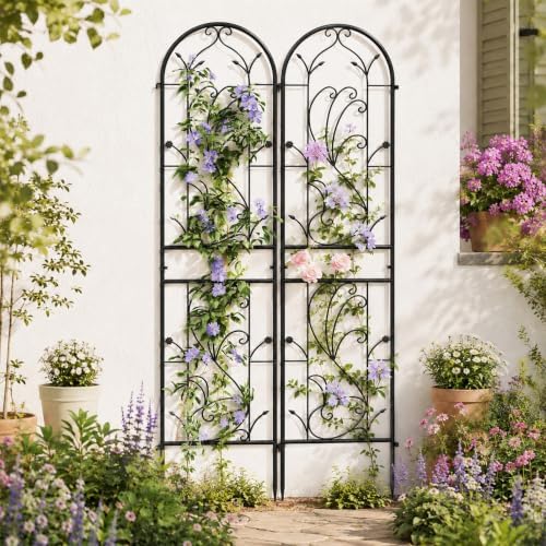 2-Pack 87" x 20" Sunflower Scroll Arch Black Metal Garden Trellises by Ultym