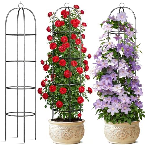 Metal Trellis for Climbing Plants Outdoor, 2026 Upgrade 100% Metal with Powder Coating, Rose, Flowers, Grape, Pea, Cucumber Tomato Cage - 6.3 FT Freestanding Plant Support by CLFUN