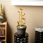 Alpine Corporation ZDQ106 Indoor Tiered Flower Water Fountain with LED Light, 23 Inches Tall, Copper - Image 2