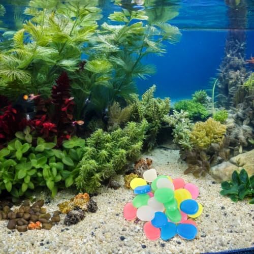 4.5cm Pebbles Resin Plastic Stones 55pcs Glow in Dark for Landscaping - Image 7