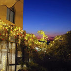 Solar String Lights Outdoor 2 Pack, Total 480 LED 170Ft, Warm White - Image 4