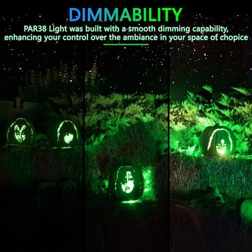 Gonhom PAR38 Flood Lights Outdoor,Dimmable LED Flood Light Bulbs,20W(Equivalent to 200W),E26 Base,Outdoor Porch,Holiday Lighting,LED Flood Light Bulb for Halloween,Christmas,4 Pack Green - Image 4
