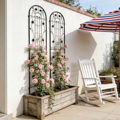 2 Pack Black Metal Garden Trellis Rustproof Plant Support Frame - Image 3