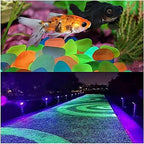 Luminous Stones, Glowing Stone Blue Pebbles Glowing in The Dark, 600 PCS Glowing Rocks Driven by Light and Solar Energy, Decorative Rock for Fish Tank Garden Lawn - Image 3