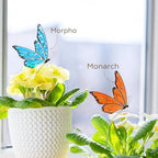 Morpho and Monarch Butterfly Plant Stake Set - Blue & Orange Decorative Plant Stakes for Indoor Plants - Colorful Insect Plant Accessories for Pots & Garden Decor - Gift Set for Plant Lovers - Image 6