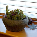 Top Collection Garden Frog Meditating On Large Functional Stone Flower Pot Planter Figurine - Image 7