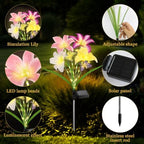 4 Pack Lily Solar Path Lights, IP65 Waterproof (Multicolor butterfily) - Image 4