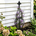 2-Pack Iron Garden Obelisk Trellis, 30" Rose Climbing Plant Support - Image 7