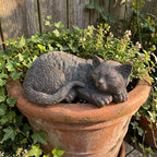 Sleeping Cat Garden Statue Outdoor Garden Decor, Resin Cat Figurine with Bronze Finish, Tabby Sculpture Outdoor Statues Decors for Patio Yard Lawn, Durable Ornament, Ideal Gift for Cat Lovers or Mom - Image 5