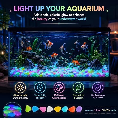 Glow in the Dark Rocks Outdoor, Night Guide Pebbles for Aquarium, Luminous Garden Stones for Landscape Decor, Yard, Walkway & Planter (1000, Multicolor) - Image 5