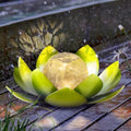 AIINY Garden Solar Light Outdoor(2Pack),Crackle Globe Glass Lotus Decoration, Waterproof Metal LED Flower Lights for Patio,Lawn,Walkway,Tabletop,Ground by AIINY