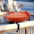 Daoeny Heated Bird Baths for Outdoors, Upgraded 100W Thermostatically Controlled Heated Bird Bath for Deck Railing, Heated Bird Bath for Outside Winter Garden Yard Patio Decor (Terracotta) by Daoeny