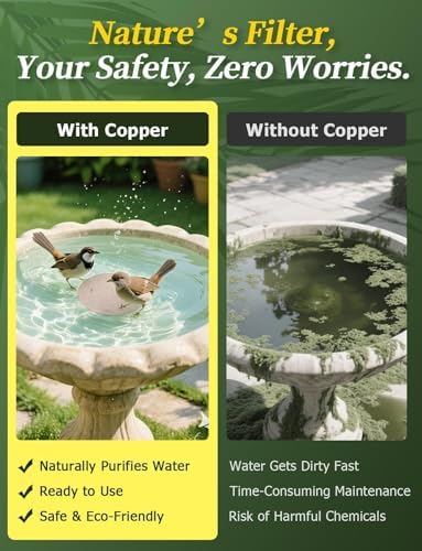 Mellbree 4-Pack Bird Bath Copper Disc, 0.6mm Reinforced 99.99% Pure Copper Cleaning Disk with Triple-Point Support for Physical Safe Clean Water All-Season (Sunflower) - Image 2