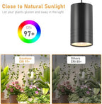 40W Plant Lights for Indoor Growing, Hanging Plant Lamp for Indoor Plants, Large Tall Plant, Garden, Flowers, Greenhouse, with Timer and 15ft Braided Cord, 3000K Full Spectrum, COB Bulb Aluminum Black - Image 4