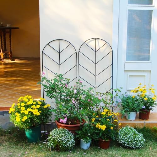 2 Pack Black Metal Garden Trellis 45"H x 15.9"W for Climbing Plants - Image 3