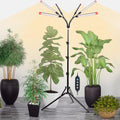 6Head Grow Light with Stand for Tall Plants & Bonsai Tree Indoor by OrchbloomGrowLight