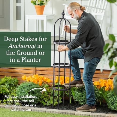 Evergreen 5 ft Garden Trellis for Climbing Plants Vines, Jasmine & Flowers, Rustproof Metal Obelisk Trellises, Outdoor & Indoor Plant Support for Potted Planters (Black) - Image 5