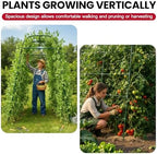 Garden Arch Trellis for Climbing Plants Outdoor, 7 Ft Tall Cucumber Trellis - Image 6