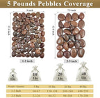 FANTIAN 40 lbs Red River Rocks for Landscaping, 2-3 Inch Polished Pebbles for Indoor Plants, Decorative Rocks Stones for Vases, Aquariums, Fountains, Pathways, Backyard and Garden - Image 3