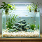 Natural White River Pebbles - LOOIOOJ 20 Lbs Polished Decorative Rocks, 0.5-1 inch, for Aquariums, Gardens, and Indoor Plant Drainage (White, Weight: 20 LB) - Image 7