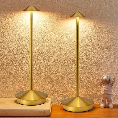 Portable Led Cordless Lamp Table Light 2 Pack, Rechargeable 6000mAh Battery Outdoor Table Lamp for Dinning Restaurant Patio Bedroom Camping, IP54 Waterproof, Dimmable by XMINKDZA