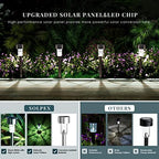 SOLPEX 24 Pack Solar Lights Outdoor, Stainless Steel Solar Pathway Lights - Image 4