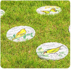Kunovo 3pcs Garden Décor Stepping Stone, Dimensional Round Walkway Path Stones with Butterflies, Animals or Birds Print, Fun Cute Yard Lawn Step Stone (Size : Birds), 58741 - Image 5