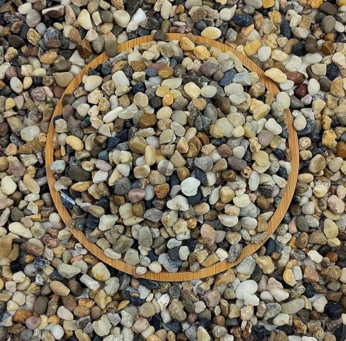 FANTIAN 20 lbs Natural Fish Tank Gravel,1/4 Inch Pea Gravel. Mixed Color River Rocks for Aquarium, Succulent, Vase, Cactus Bonsai, Plant Soil Cover and Outdoor Landscaping Rocks by FANTIAN-GardeningMakesLifeBetter