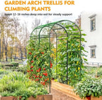 Garden Arch Trellis with Netting, Metal Garden Trellis for Climbing Plants - Image 2