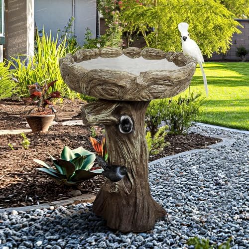 23" H Concrete Birdbath for Outdoor Garden with a Fake Bird Decor - Freestanding Trunk Like Bird Bath for Outside Garden Patio or Yard Decor by Unknown