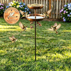 2-in-1 Bird Bath Feeder Set Antique Bronze with Copper Disk - Image 5