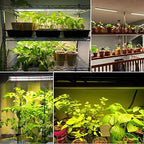 LED Plant Grow Lights Strips for Indoor Plants Full Spectrum with Auto ON & Off Timer, T5 Sunlike Grow Lights Bar Growing Lamps for Greenhouse Shelves Hydroponics Succulent, 4 Dimmable Levels - Image 5
