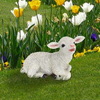 Design Toscano Yorkshire Lamb Garden Statue: Standing Lamb 15 Inch - Image 4