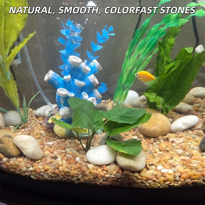 18lb Mixed River Rocks for Plants, 1-3" Pebbles for Indoor Plants - Image 5