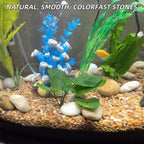 18lb Mixed River Rocks for Plants, 1-3" Pebbles for Indoor Plants - Image 5