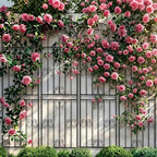 Metal Garden Trellis, 86.7" H x 19.7" W Black Coated Wire Lattice Panel, Sturdy Plant Support for Climbing Roses Vines Cucumbers Vegetables Outdoor Patio Yard (4 Packs) - Image 6