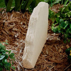 Personalization Universe Love Blooms Here Personalized Garden Stone, Custom for Grandma, Engraved Grandmas Garden Decor, Decorative Yard Stepping Stone - Image 6